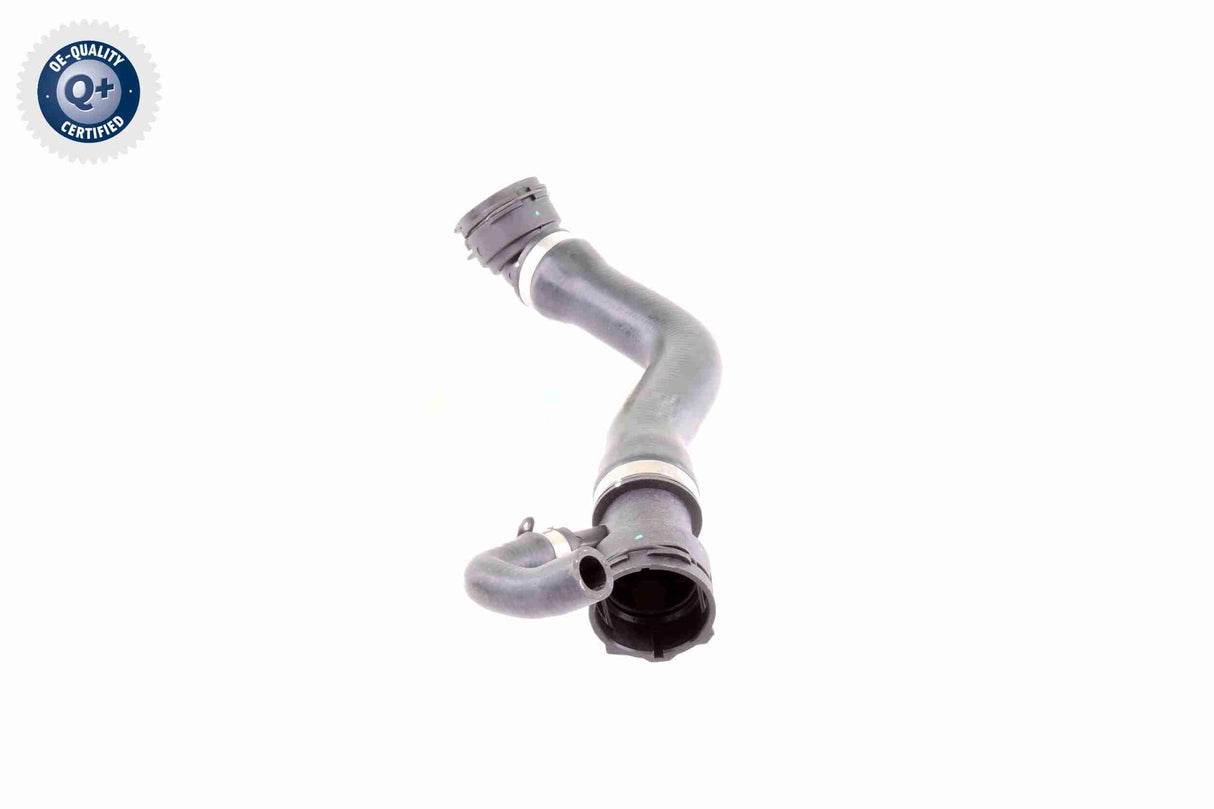 Radiator Hose - V20-1331