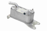 Oil Cooler, engine oil - V25-60-0078