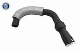 Radiator Hose - V25-2298
