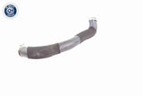 Charge Air Hose - V48-0070
