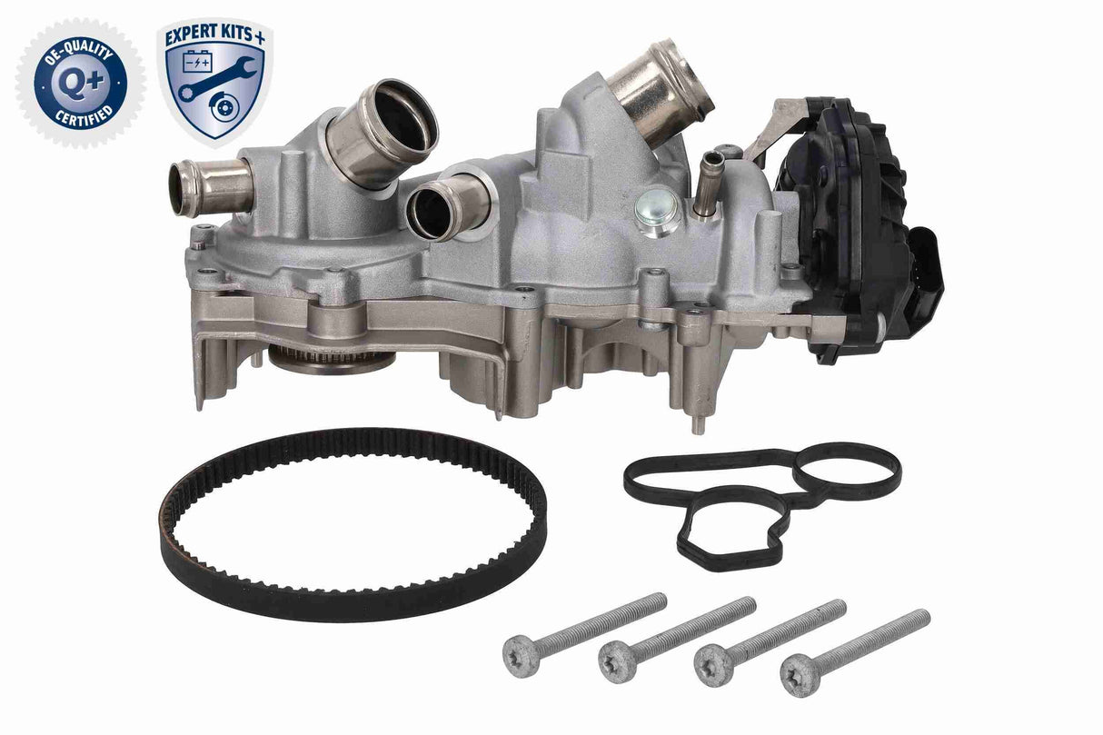 Water Pump & Timing Belt Kit - V10-50114