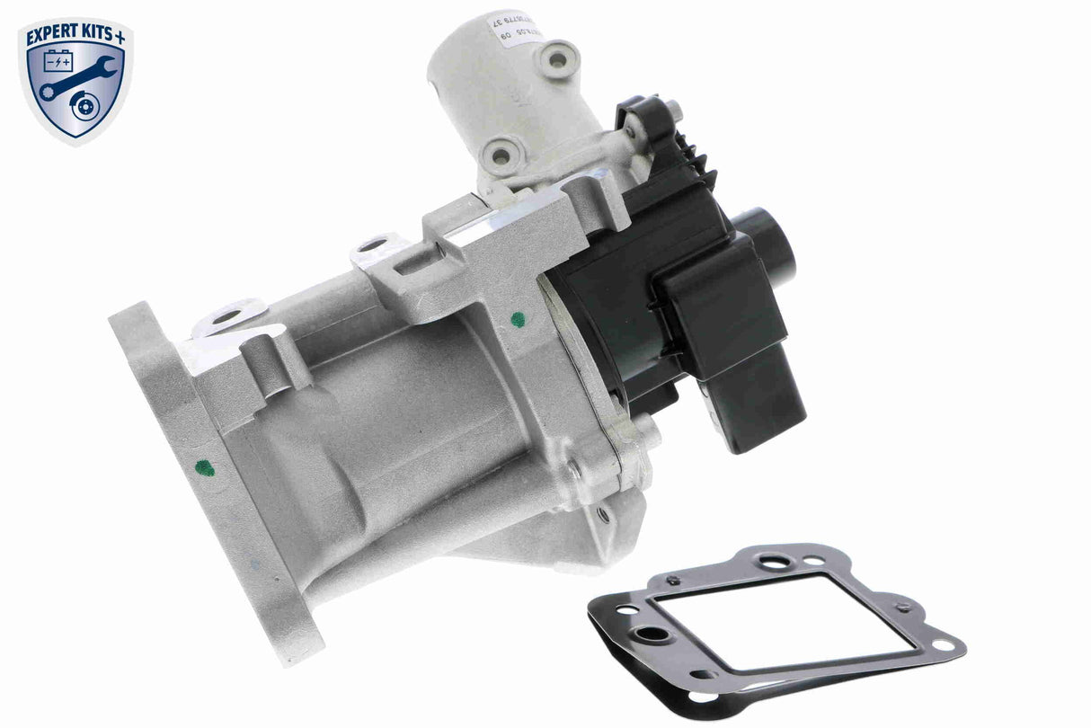 Valve, exhaust gas recirculation - V25-63-0015