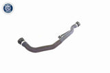 Radiator Hose - V20-1346