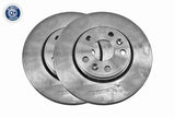 Brake Disc - V30-80099
