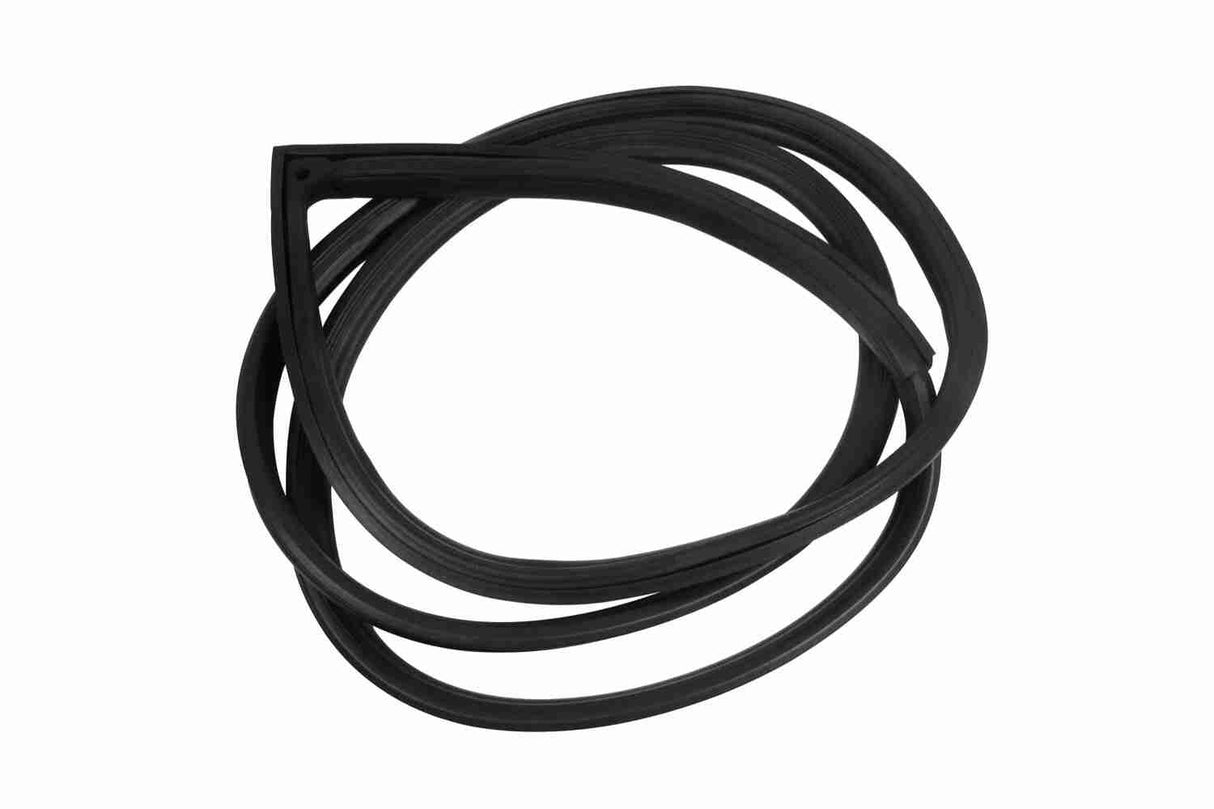 Door Seal - V30-1543