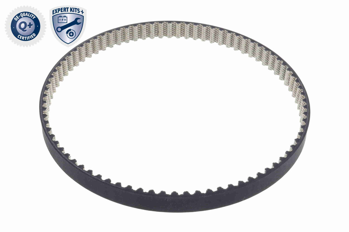 Water Pump & Timing Belt Kit - V10-50114-XXL