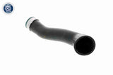 Charge Air Hose - V20-1625