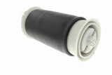 Air Suspension Strut - V20-50-0007