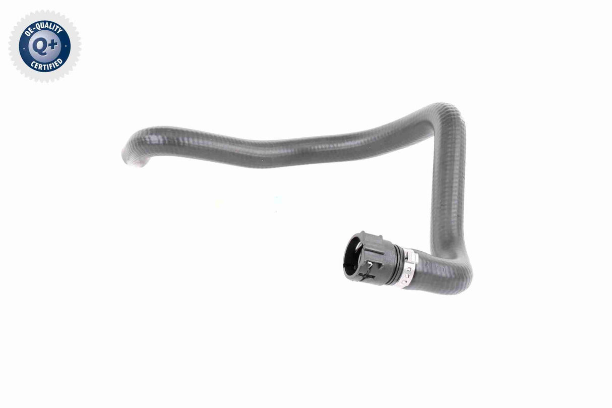 Radiator Hose - V10-2809