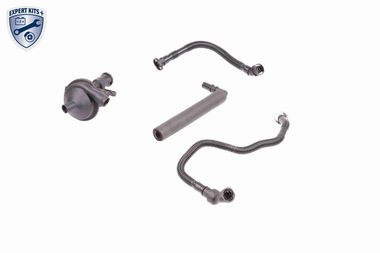 Repair Kit, crankcase ventilation - V20-1873