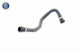Radiator Hose - V20-1753