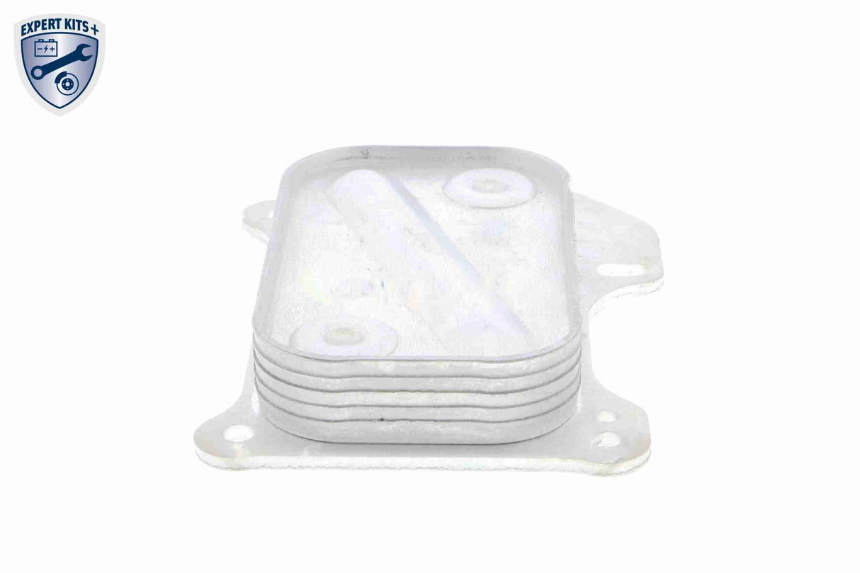 Oil Cooler, engine oil - V24-60-0001