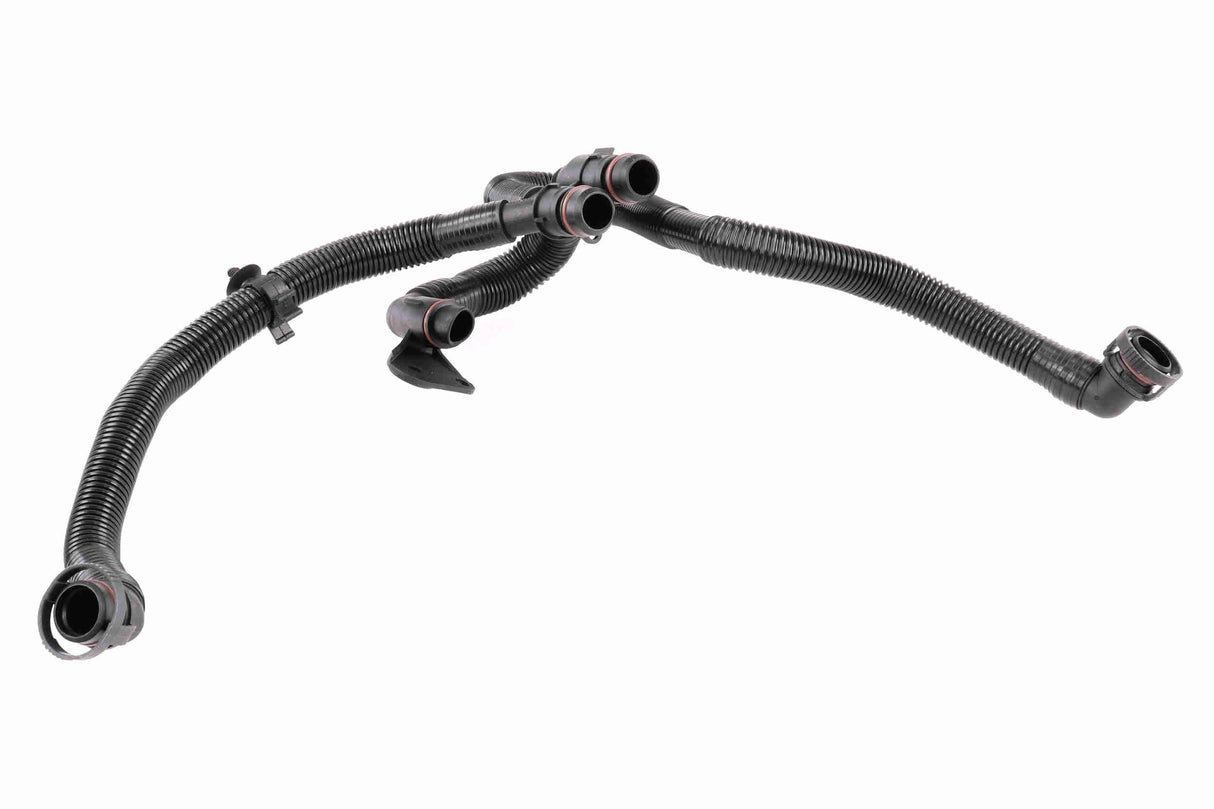 Hose, crankcase ventilation - V10-5458