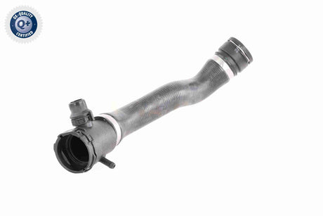 Radiator Hose - V20-3042