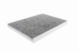 Filter, cabin air - V10-31-1013