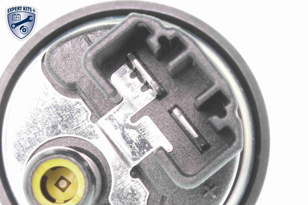 Fuel Pump - V10-09-0821
