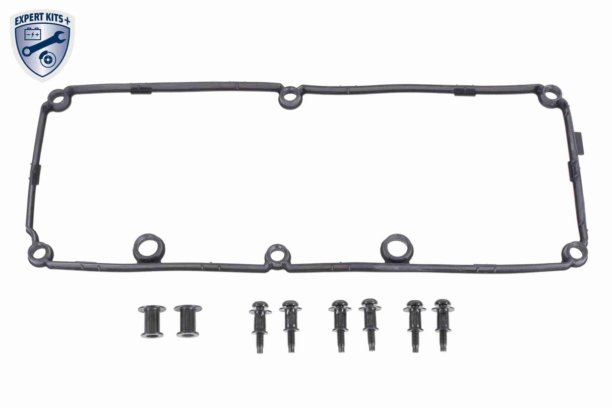 Cylinder Head Cover - V10-6736