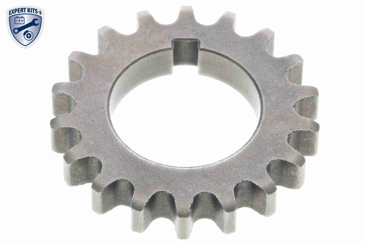Timing Chain Kit - V10-10014