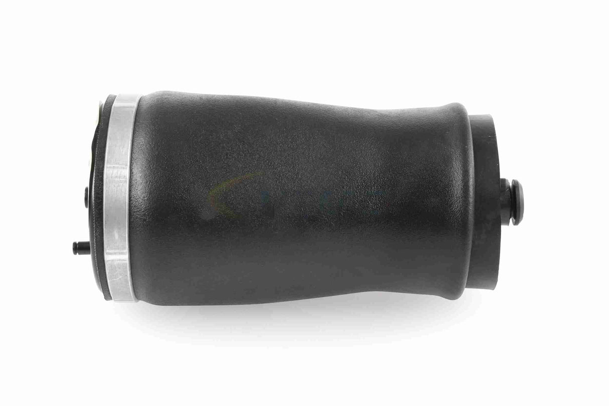 Air Suspension Strut - V20-50-0003-1