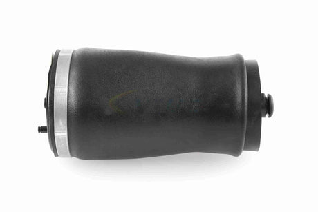 Air Suspension Strut - V20-50-0003-1