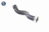 Charge Air Hose - V10-4391