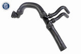 Radiator Hose - V25-1916