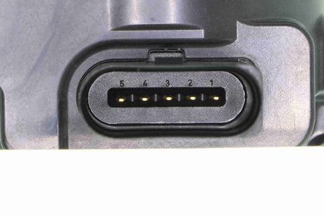 Throttle Body - V10-81-0092