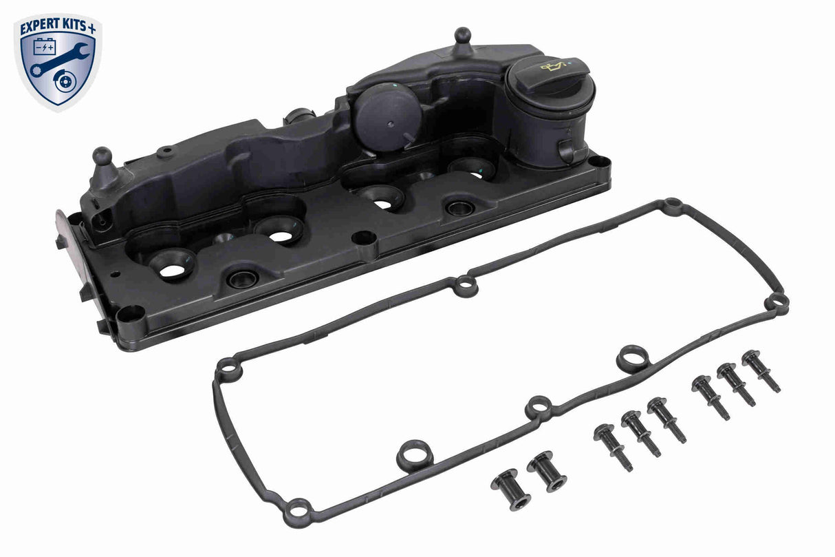 Cylinder Head Cover - V10-6511