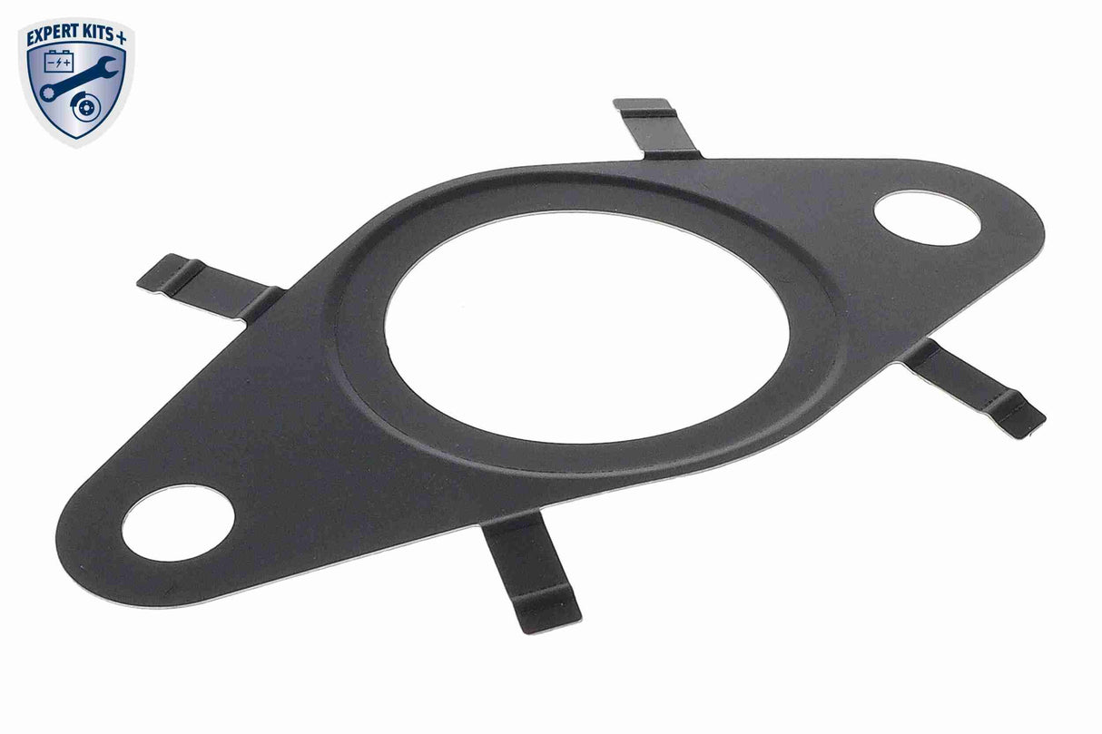 Gasket, EGR valve - V24-63-0038