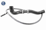 Radiator Hose - V10-4809