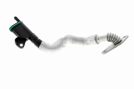 Hose, crankcase ventilation - V10-4852