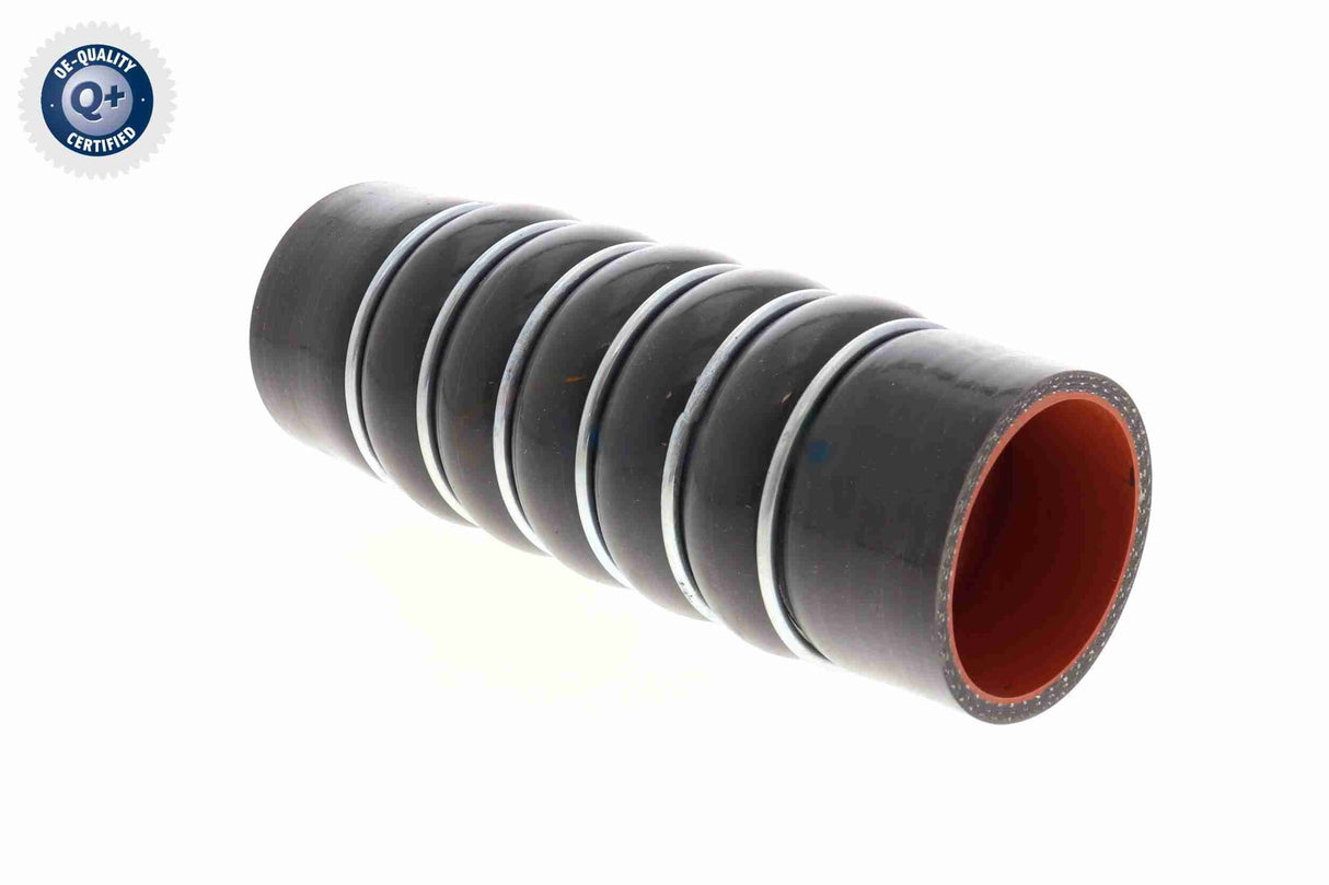 Charge Air Hose - V25-2016