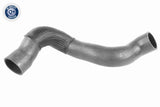Charge Air Hose - V95-0370