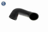 Charge Air Hose - V10-3813