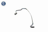 Radiator Hose - V20-1288