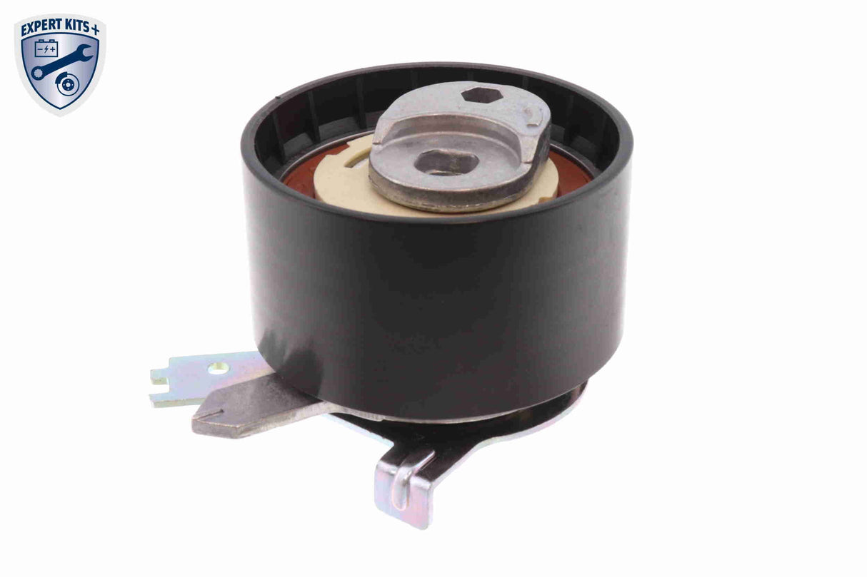 Timing Belt Kit - V46-1419