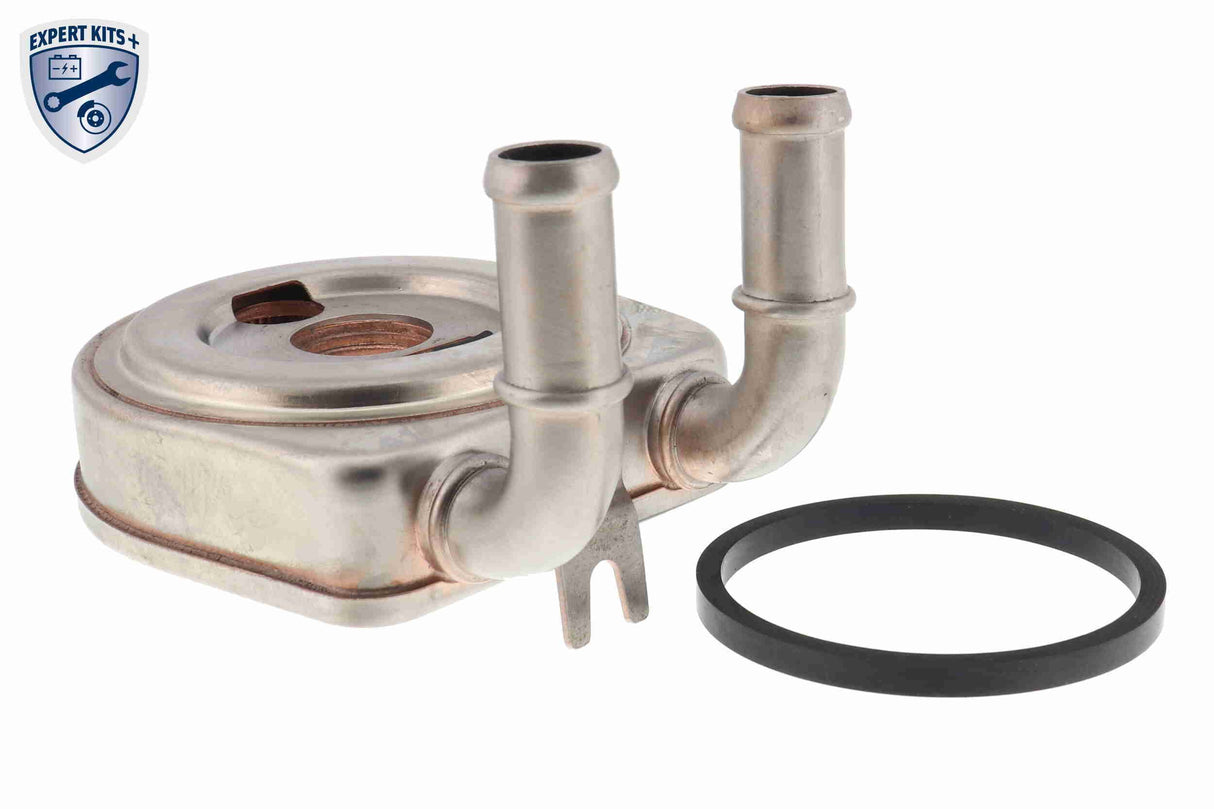 Oil Cooler, engine oil - V22-60-0045