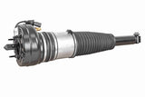 Air Suspension Strut - V15-50-0007