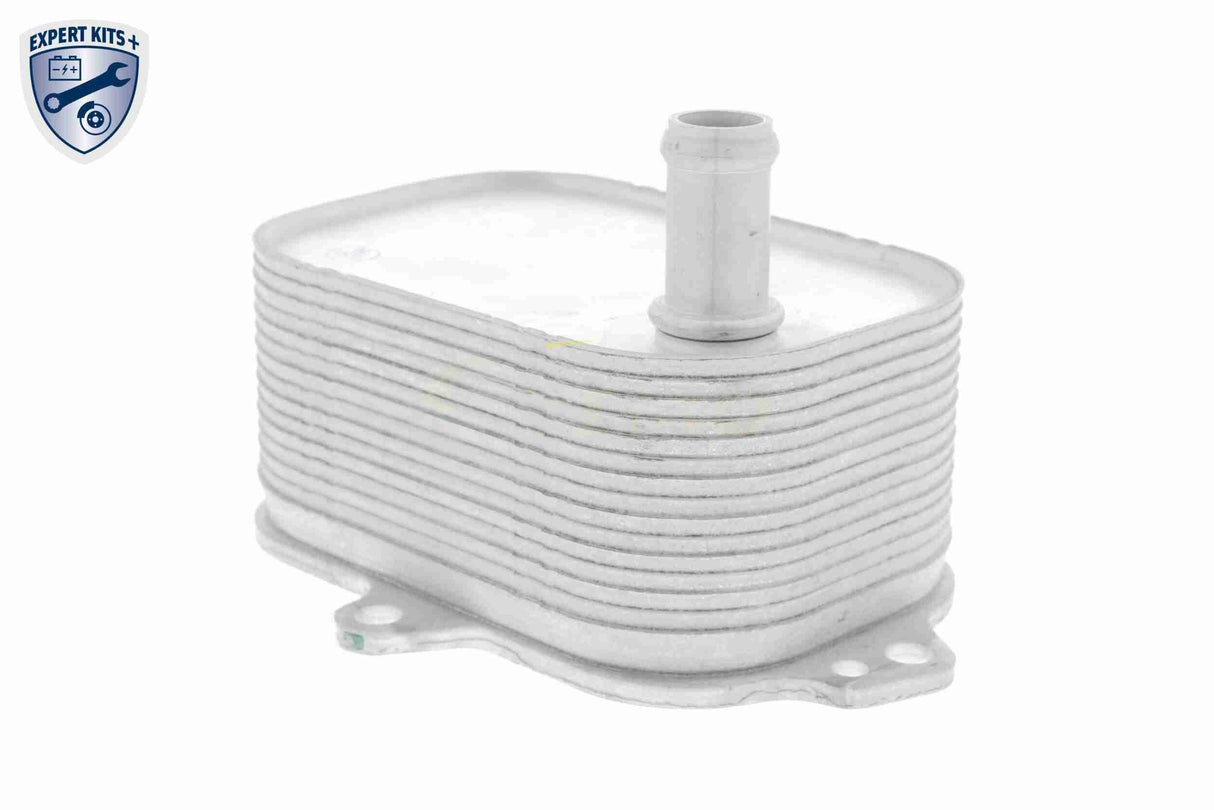 Oil Cooler, engine oil - V15-60-6088