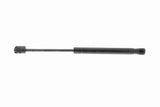 Gas Spring, bonnet - V20-2864