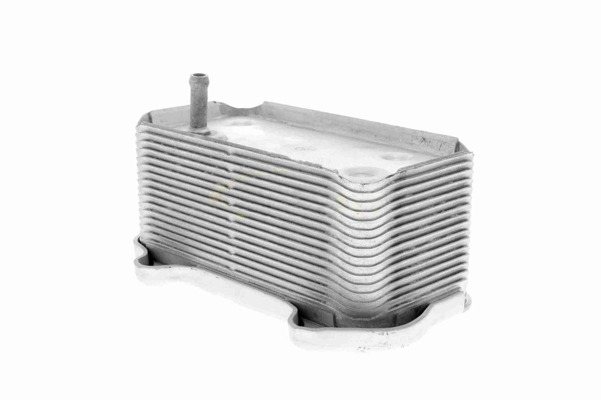 Oil Cooler, engine oil - V45-60-0003