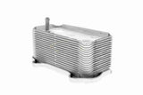 Oil Cooler, engine oil - V45-60-0003