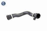 Radiator Hose - V20-1460