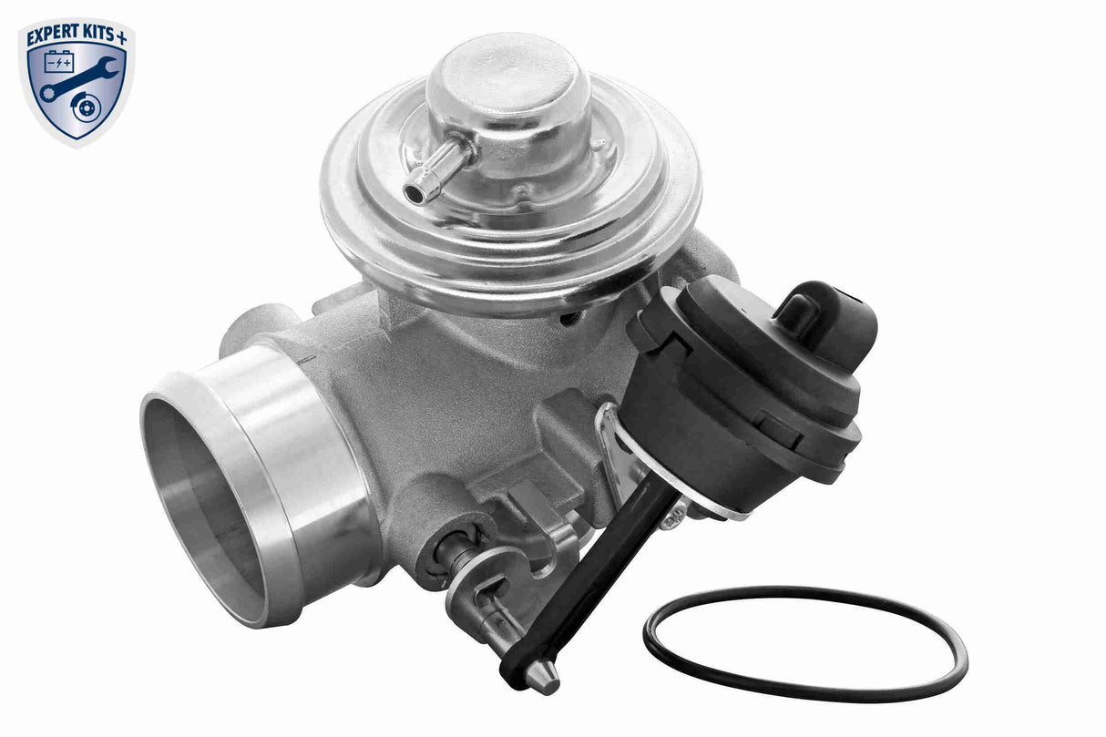 Valve, exhaust gas recirculation - V10-63-0033