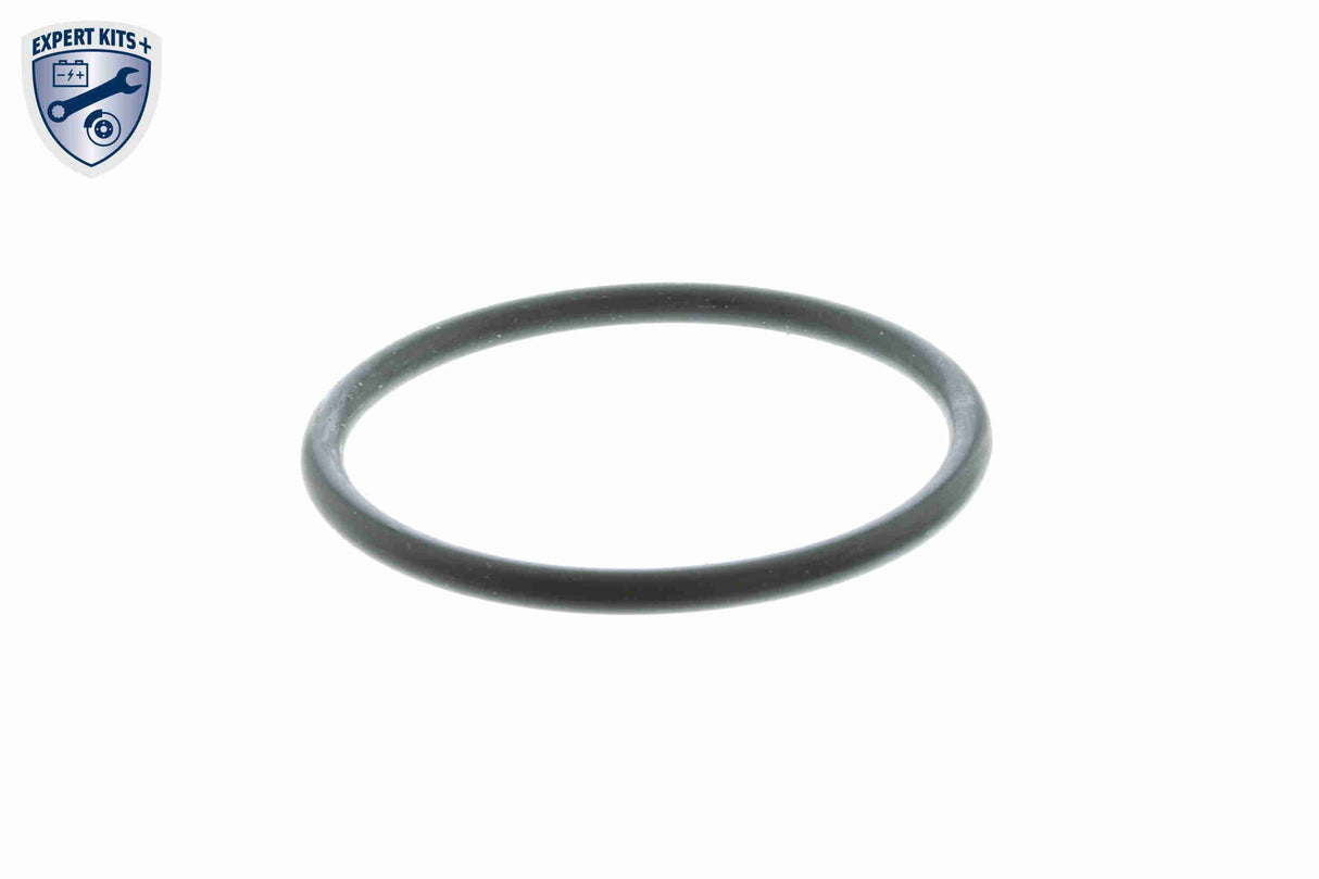 Thermostat, coolant - V25-99-1709