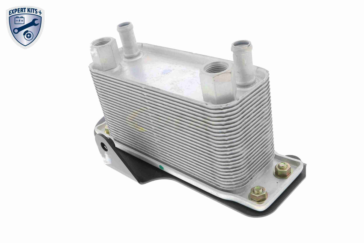 Oil Cooler, engine oil - V25-60-0045