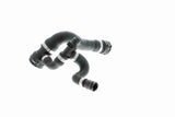 Radiator Hose - V20-1713