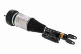 Air Suspension Strut - V30-50-0050