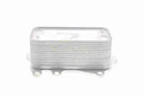 Oil Cooler, engine oil - V20-60-0044