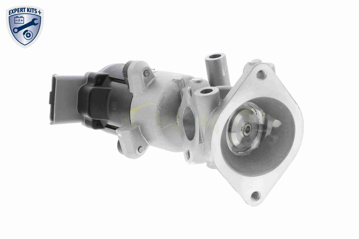 Valve, exhaust gas recirculation - V48-63-0002